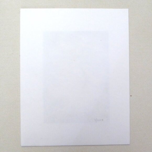 “CATHEDRAL” DRAGONFLY STAINED GLASS WINGS FRAMED SIGNED ART PRINT CHET PHILLIPS - Picture 9 of 9